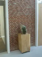 WA252 1 Kop uit Tengenenge Stadhuis hal Maker onbekend 2017 JPG