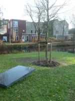 WA275 1 Gedicht Reflectie Ivanka de Ruijter Torckpark JPG