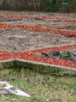 WA076 2 Klaproosterrorisme fotomontage Proefvakken Gen Foulkesweg Kamphuis en Van Corven jpg