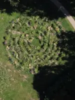 WA279 1 Labyrint Flower Labyrinth 2 Belmonte Aeneas Wilder 2018 jpg