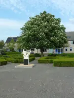WA007 4 Herdenkingsbeeld sportmensen Mondriaanlaan Ben Guntenaar JPG