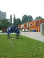 WA092 5 Zum Schlafen Gehen Akkermaalsbos 14 Strauss JPG