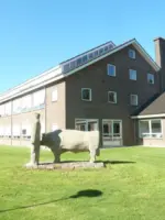 WA223 1 Man met Stier De Els 1 Campus west Willem Berkhemer JPG