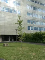 WA233 3 Veritas Existentiae Bronland 1 Campus Wageningen UR midden hermandevries jpg