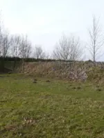 WA134 1 Vleermuizenwal Campus WUR tuin bij Lumen Giezen jpg
