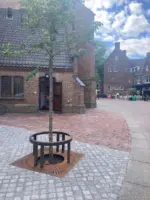 Boomspiegelgedichten 1