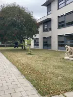 WA197 5 Gevelreliëf zt Knielende vrouw Radix Locatie per 2025 Fri Heil toegeschr