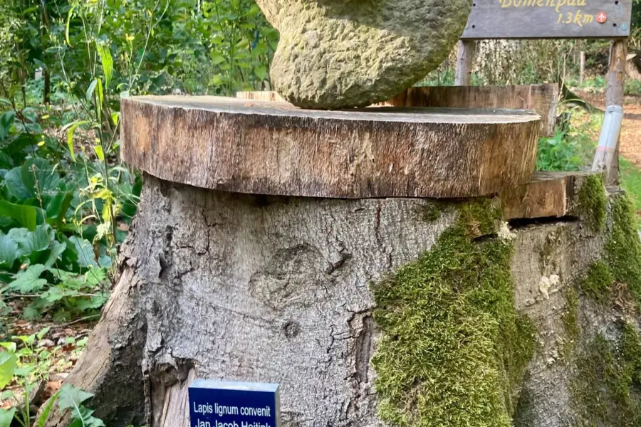 Arboretum Oostereng Hoitink 1