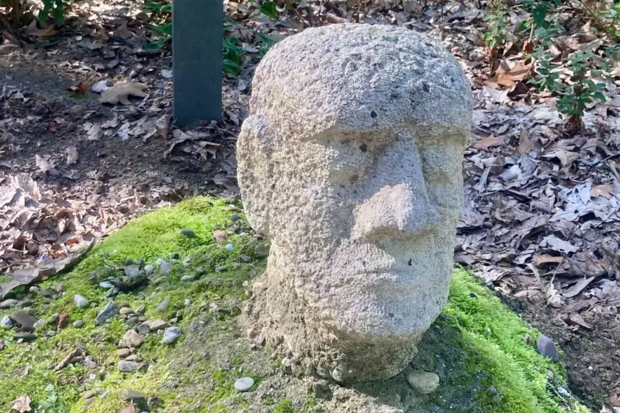 Arboretum Oostereng Hoitink 3