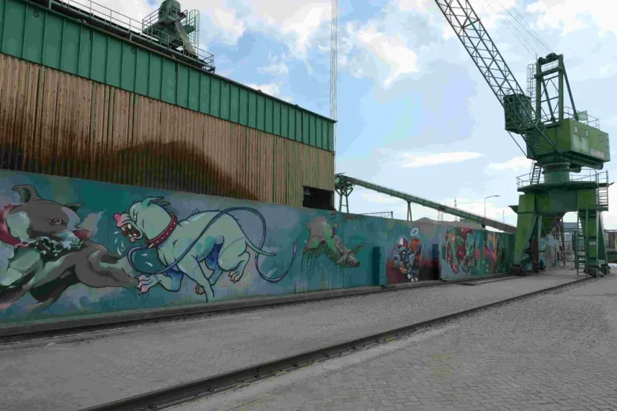 WA294 3 Muurschilderingen Rijnhaven jpg