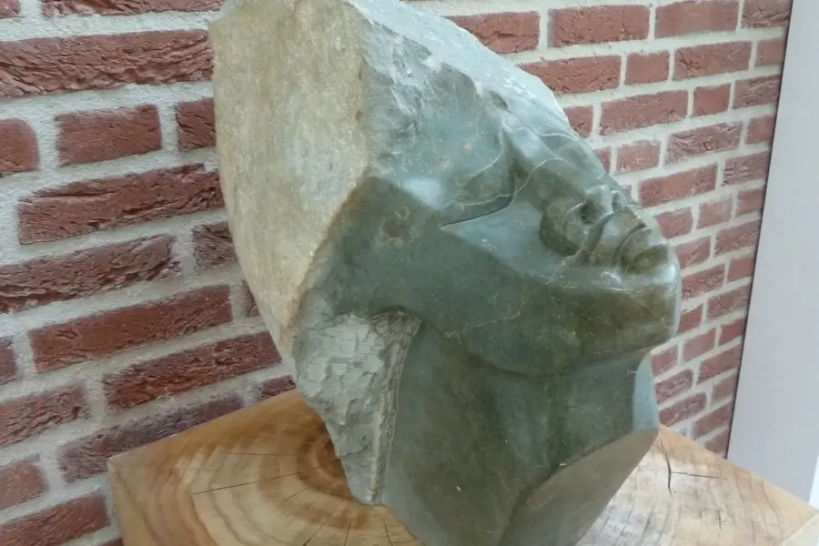 WA252 2 Kop uit Tengenenge Stadhuis hal Maker onbekend 2017 JPG