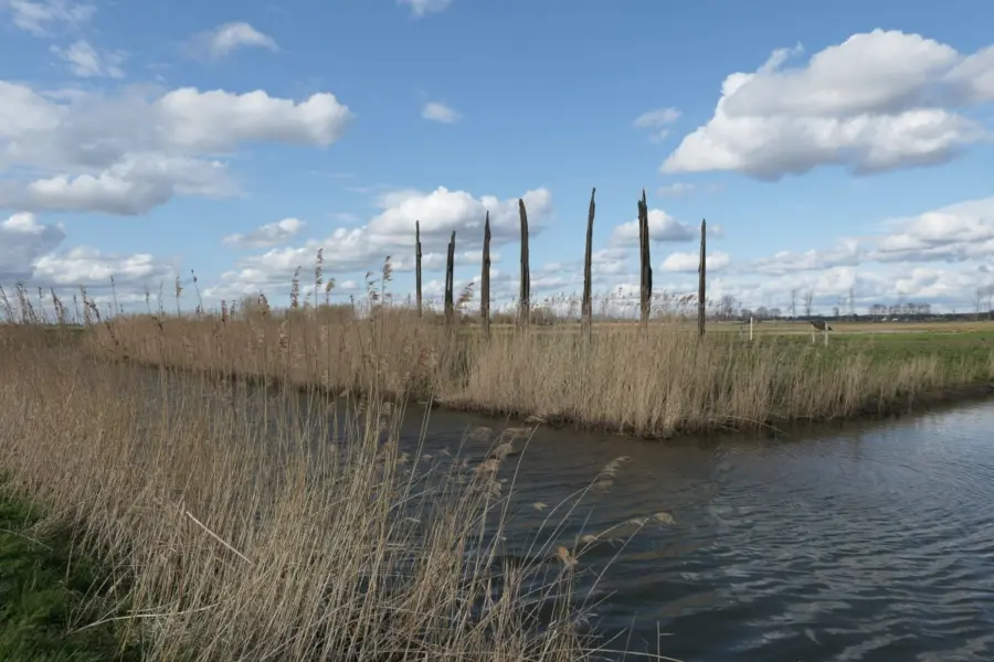 WA290 1 Veeneiken Land art Binnenveld Bertus Haverkort 2021 JPG