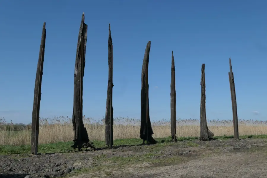 WA290 2 Veeneiken Land art Binnenveld Bertus Haverkort 2021 JPG