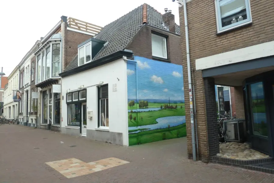 WA251 1 Muurschildering Uiterwaardenlandschap Nieuwstraat Conventstraat Elmer Tuinstra 2018 JPG
