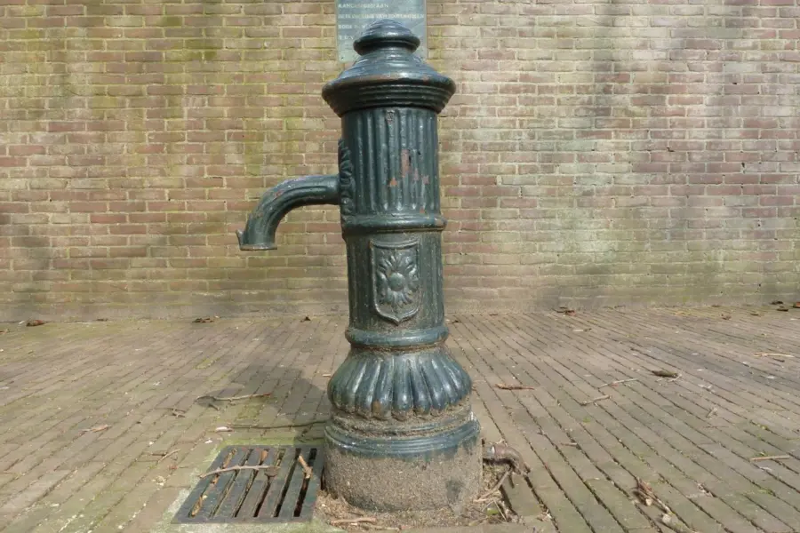 WA184 2 Pompkraantje 5 Meiplein close up jpg