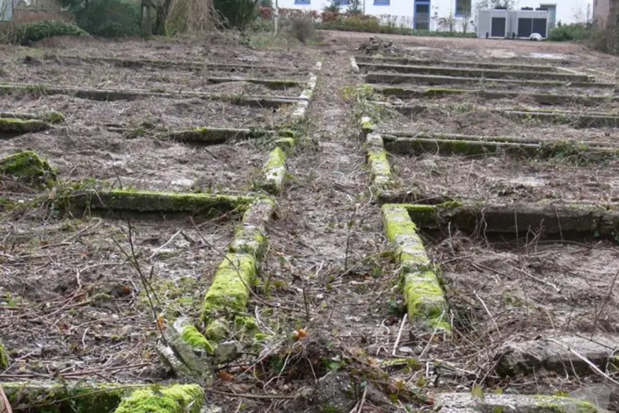 WA076 1 Klaproosterrorisme Proefvakken Gen Foulkesweg Kamphuis en Van Corven jpg