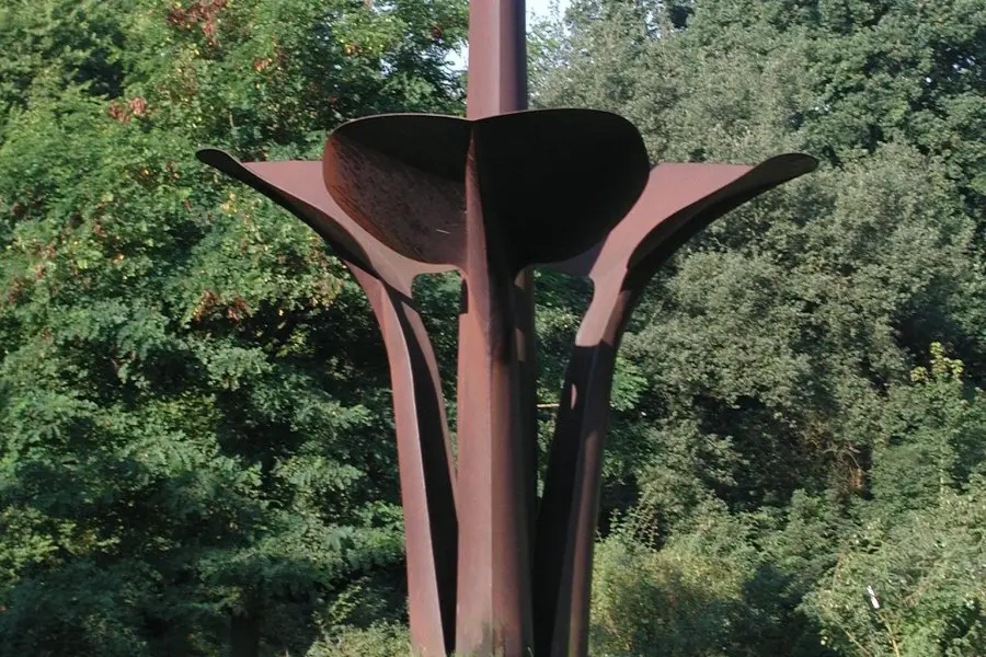WA129 2 Vruchtbeginsel Arboretum Belmonte JPG