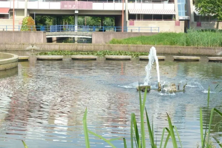 WA225 2 Waterpartij Hooilandplein Han Breedveld jpg