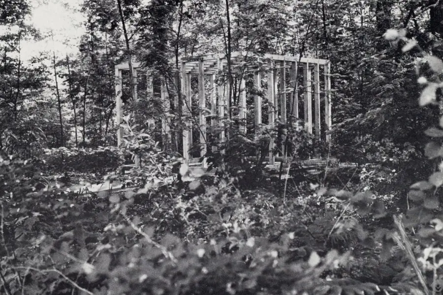 WA149 1 Gegroeide Ruimte Belmonte tijdelijk Doc Beelden od Berg 1985 Klimop Krijn Giezen jpg