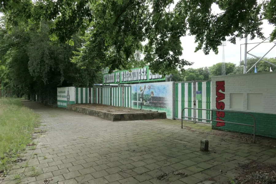 WA292 1 Muurschildering stadion Wageningse Berg Alain Rothuis 2020 JPG