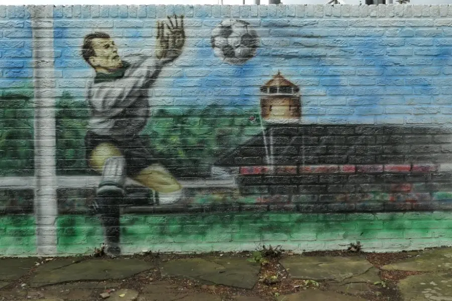 WA292 2 Muurschildering stadion Wageningse Berg Alain Rothuis 2020 jpg