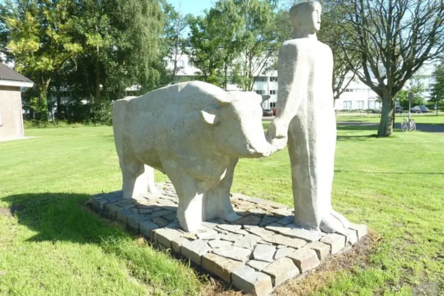 WA223 2 Man met Stier De Els 1 Campus west Willem Berkhemer JPG