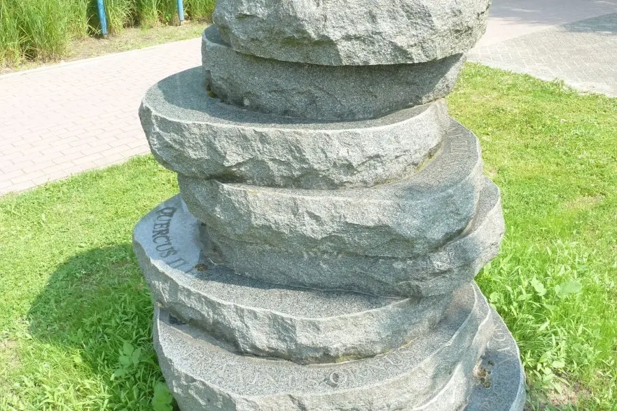 WA106 5 Steenplastiek Tectona Grandis Marinus Boezem Campus WUR west bij Futurum JPG