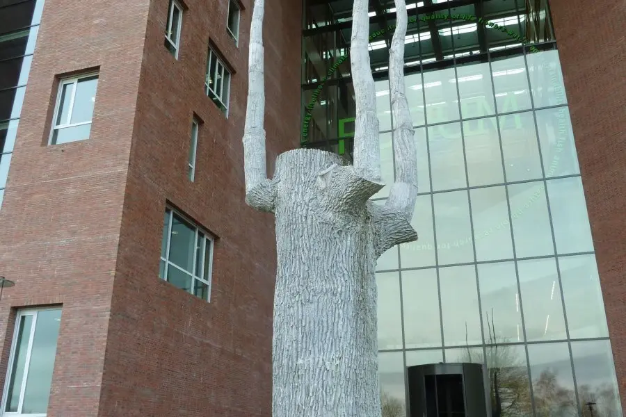 WA144 2 Wageningse Boom Sjoerd Buisman Campus WUR west jpg