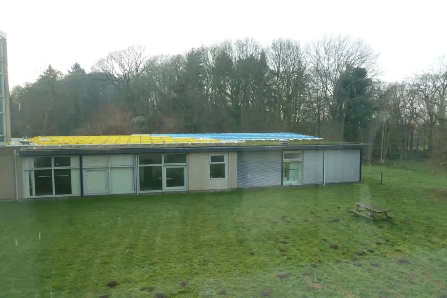 WA158 1 Kunststof struktuur Dorschkamp Bosrandweg 20 Haringa en Olijve jpg