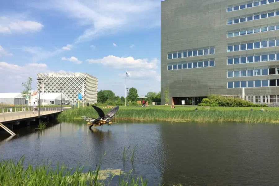 WA257 1 Must leave vijver campus Wageningen UR Vang Iversen Marten Scheffer JPG