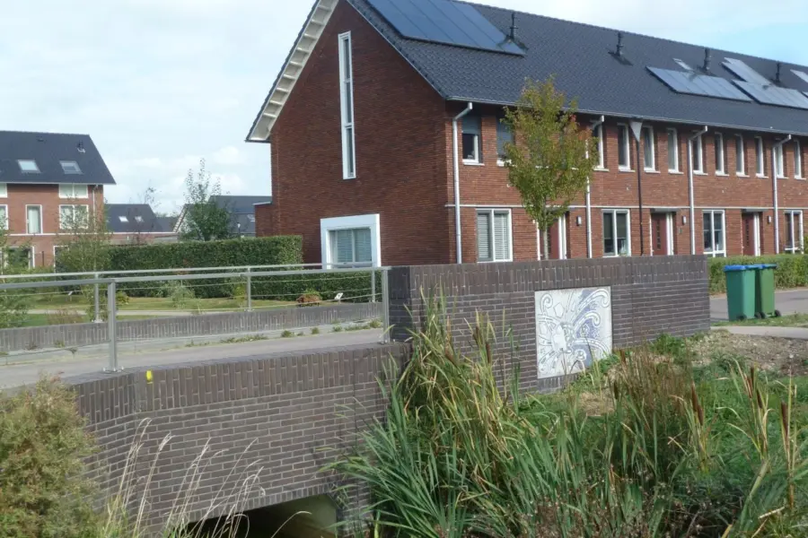 WA168 21 Mozaïek Virussen Voorburglaan Johan Karschstraat JPG