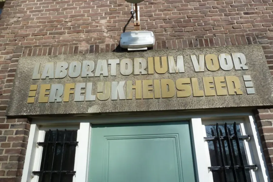 WA093 2 Reliëf Laboratorium Dreijenlaan jpg