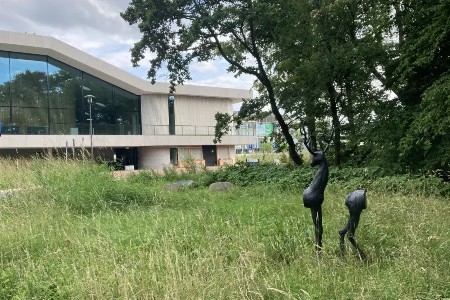 WA122 4 Tweedelig Hert Campus WUR oost Le Rütte JPG