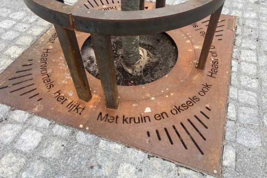 Boomspiegelgedichten 2