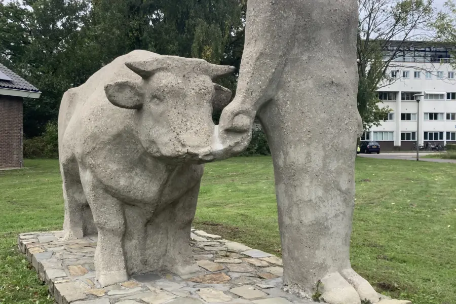 WA223 4 Man met Stier De Els 1 Campus west Willem Berkhemer