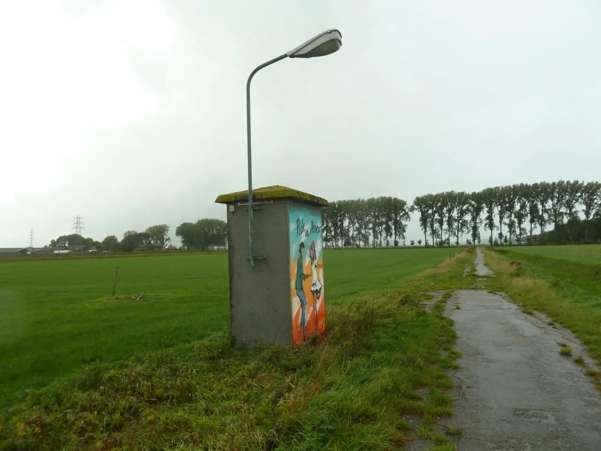WA268 1 Muurschildering transformatorhuisje Binnenveld JPG