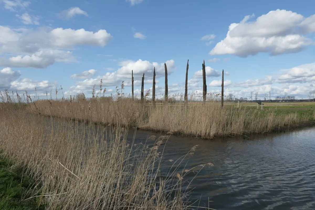 WA290 1 Veeneiken Land art Binnenveld Bertus Haverkort 2021 JPG