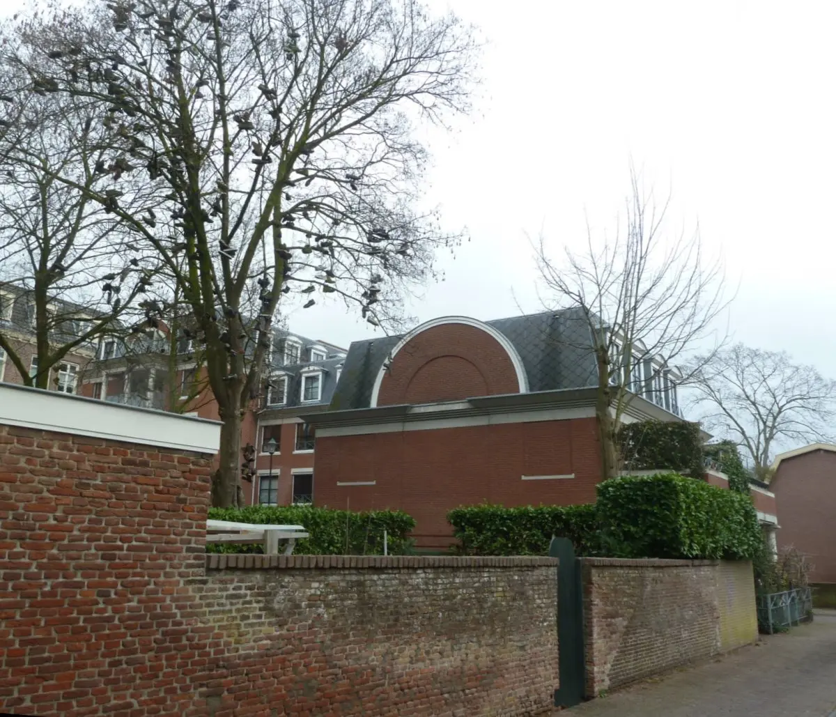 WA237 1 Schoenenboom Herenstraat Kasteelsegang jpg