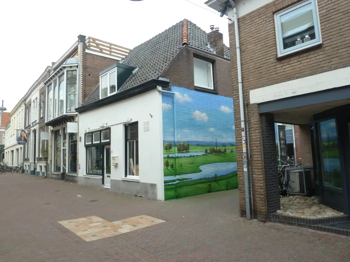 WA251 1 Muurschildering Uiterwaardenlandschap Nieuwstraat Conventstraat Elmer Tuinstra 2018 JPG