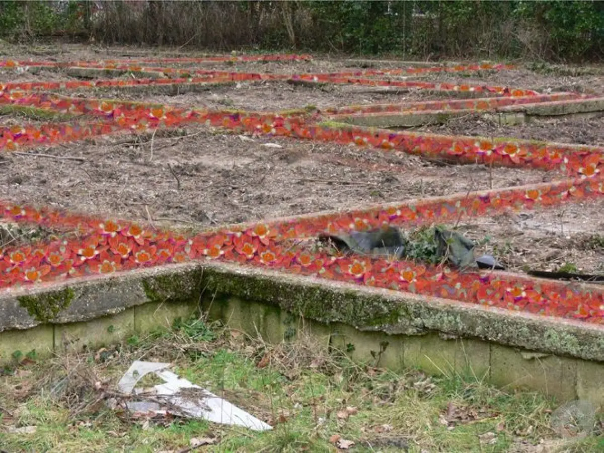 WA076 2 Klaproosterrorisme fotomontage Proefvakken Gen Foulkesweg Kamphuis en Van Corven jpg