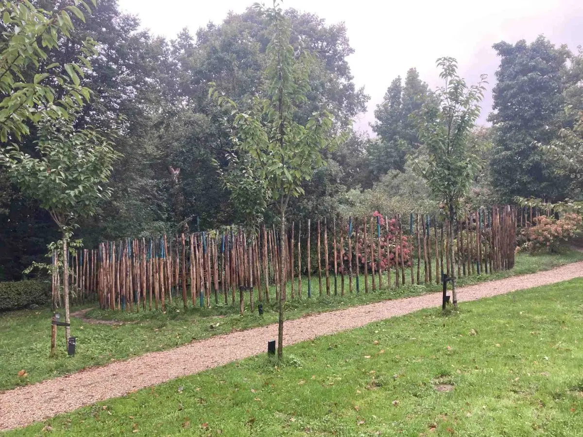 WA322 1 Aleyda en Entgen Belmonte Arboretum Femke Herregraven 2024 jpg