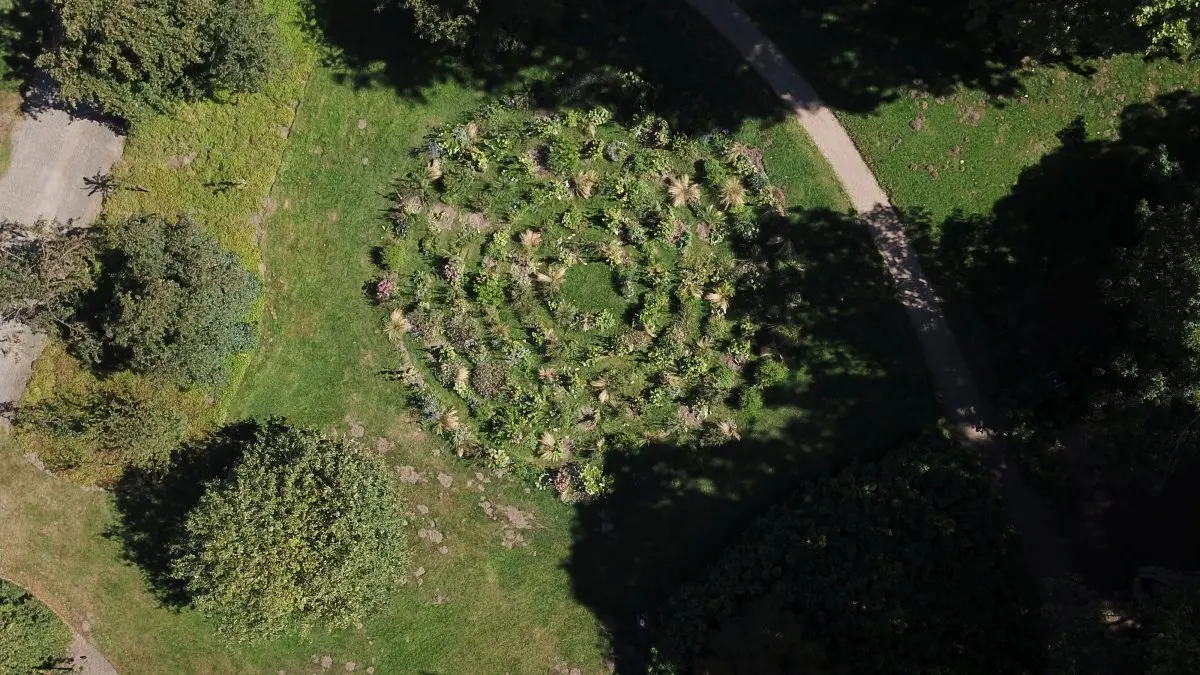 WA279 1 Labyrint Flower Labyrinth 2 Belmonte Aeneas Wilder 2018 jpg