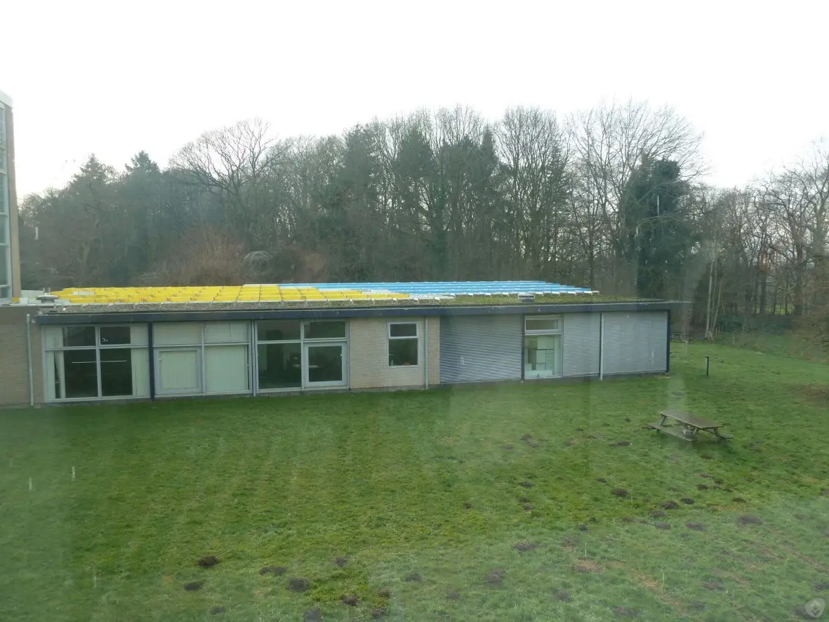 WA158 1 Kunststof struktuur Dorschkamp Bosrandweg 20 Haringa en Olijve jpg