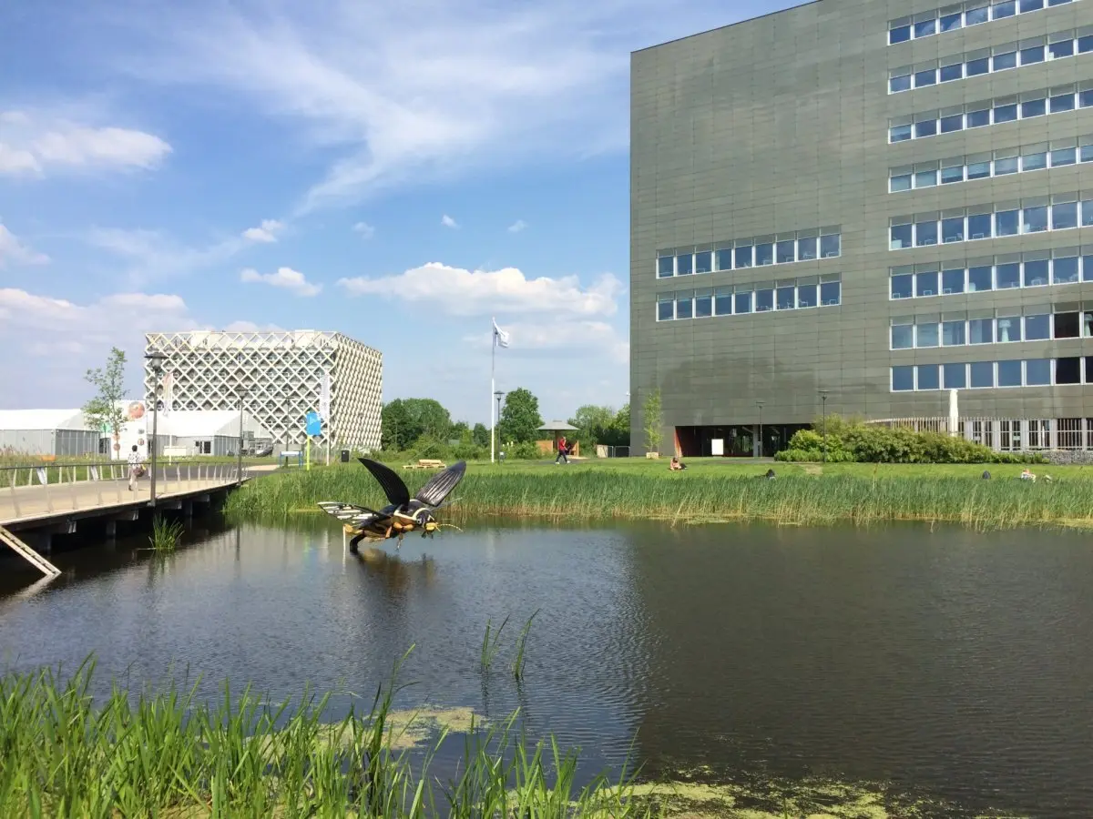 WA257 1 Must leave vijver campus Wageningen UR Vang Iversen Marten Scheffer JPG