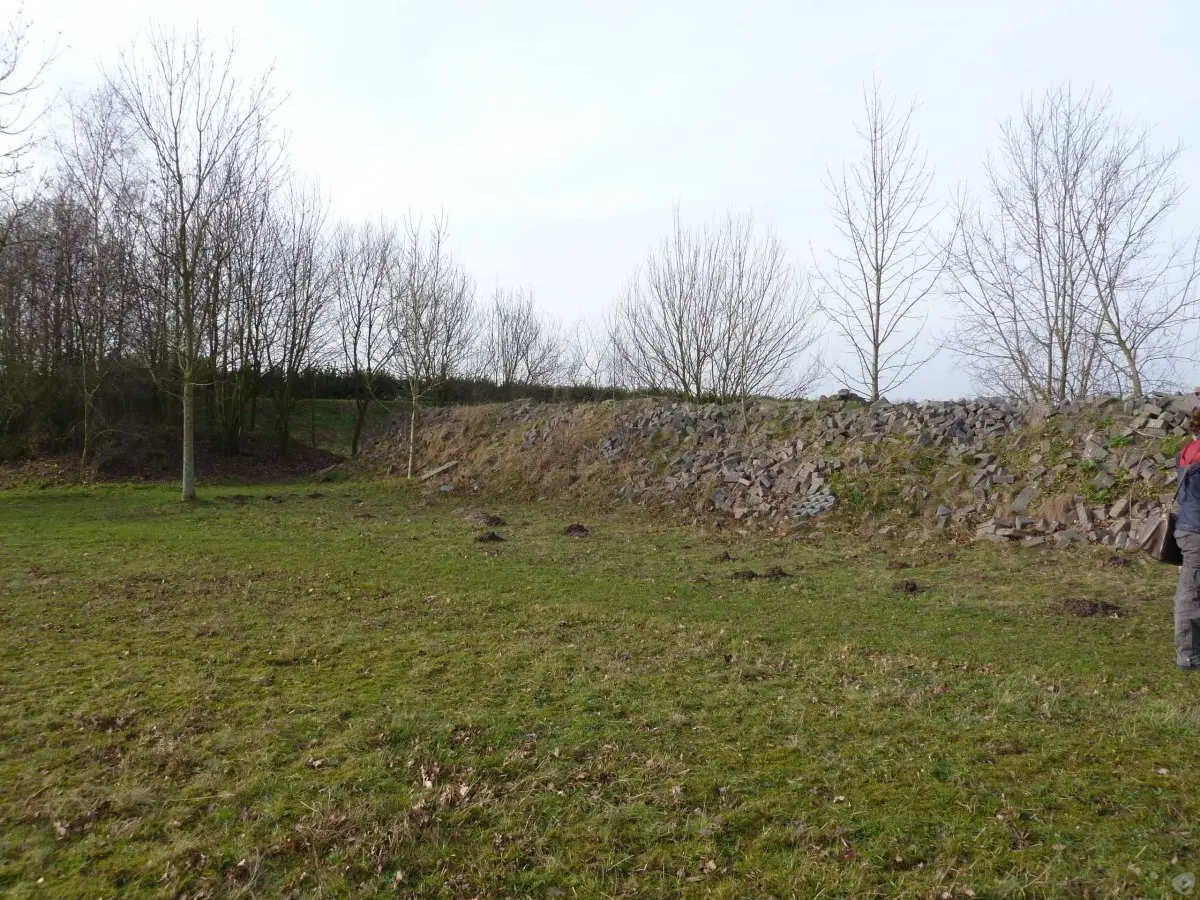 WA134 1 Vleermuizenwal Campus WUR tuin bij Lumen Giezen jpg