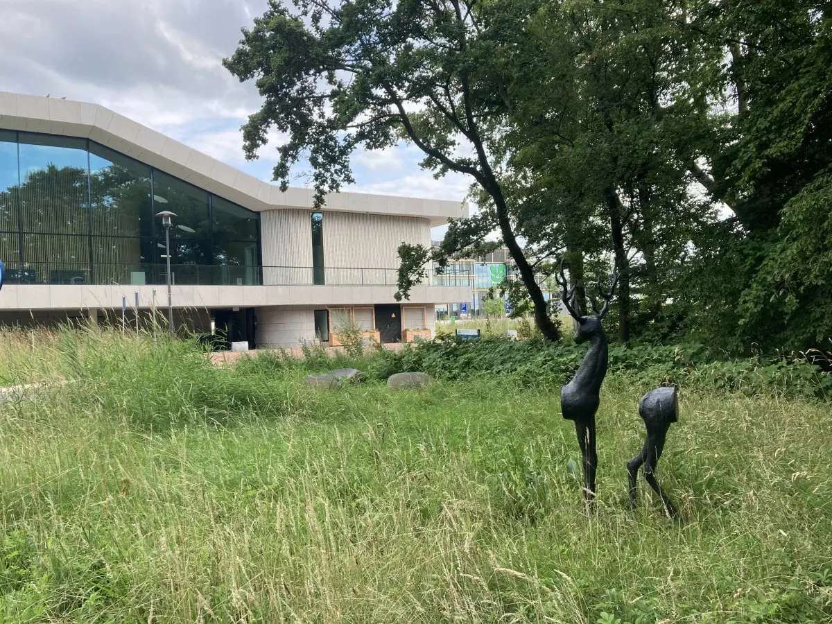 WA122 4 Tweedelig Hert Campus WUR oost Le Rütte JPG