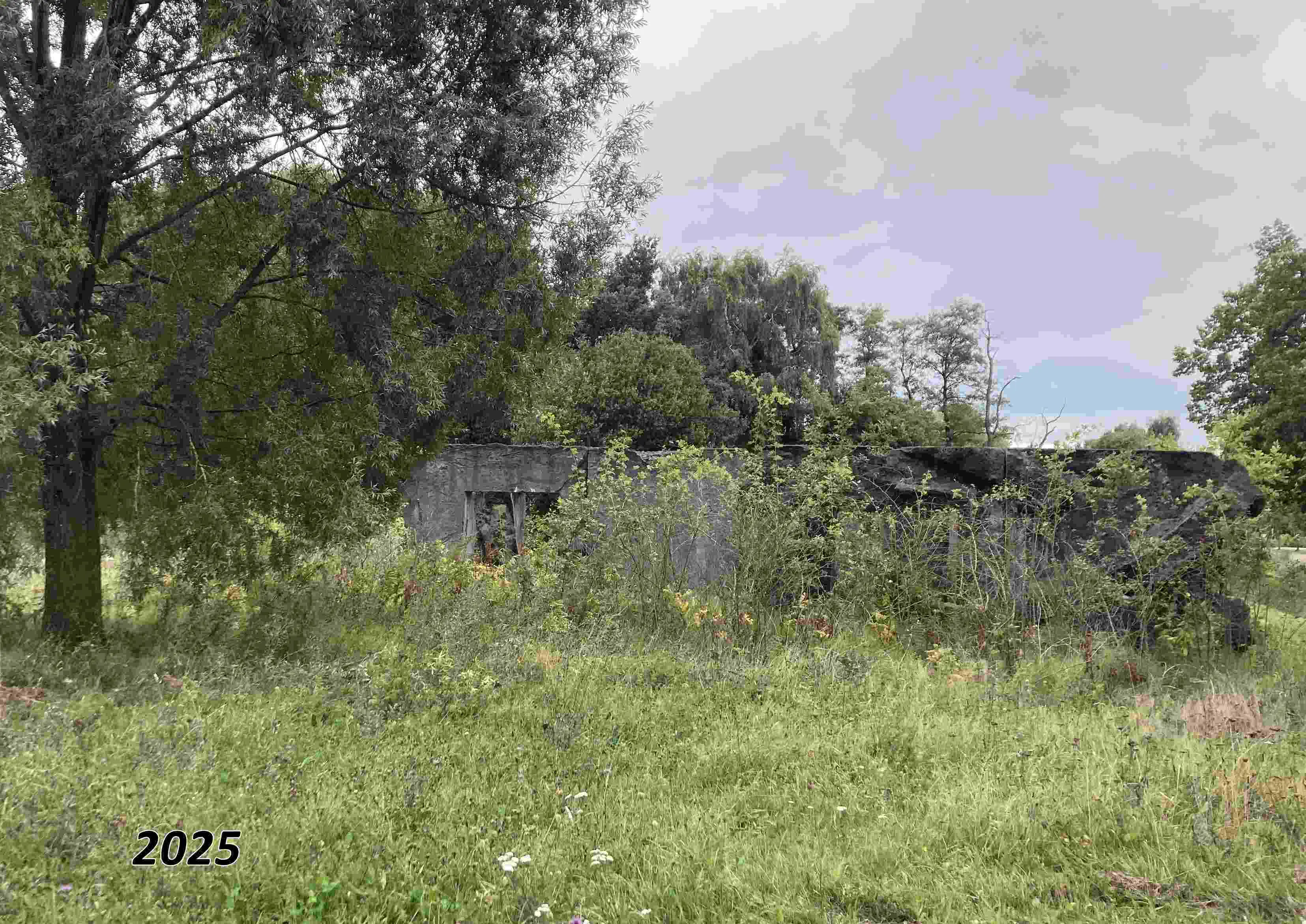 WA214 10 Batara Vijfde Polder Bornse Weilanden Campus west Anne Holtrop 2013 Geplaatst 2014